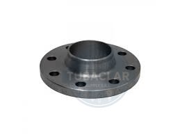 2 PLG BRIDA W/N ANSI 300 RF